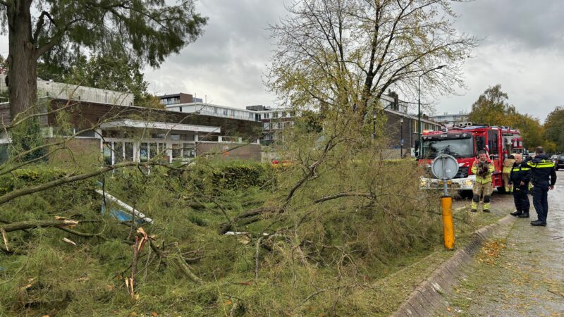 Boom bezwijkt onder storm op Smitsweg