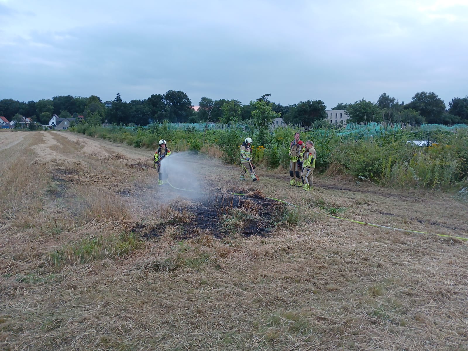 Gemaaid gras in brand