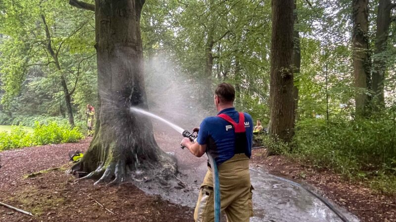 Boom in Park Colenso na half jaar opnieuw in brand 