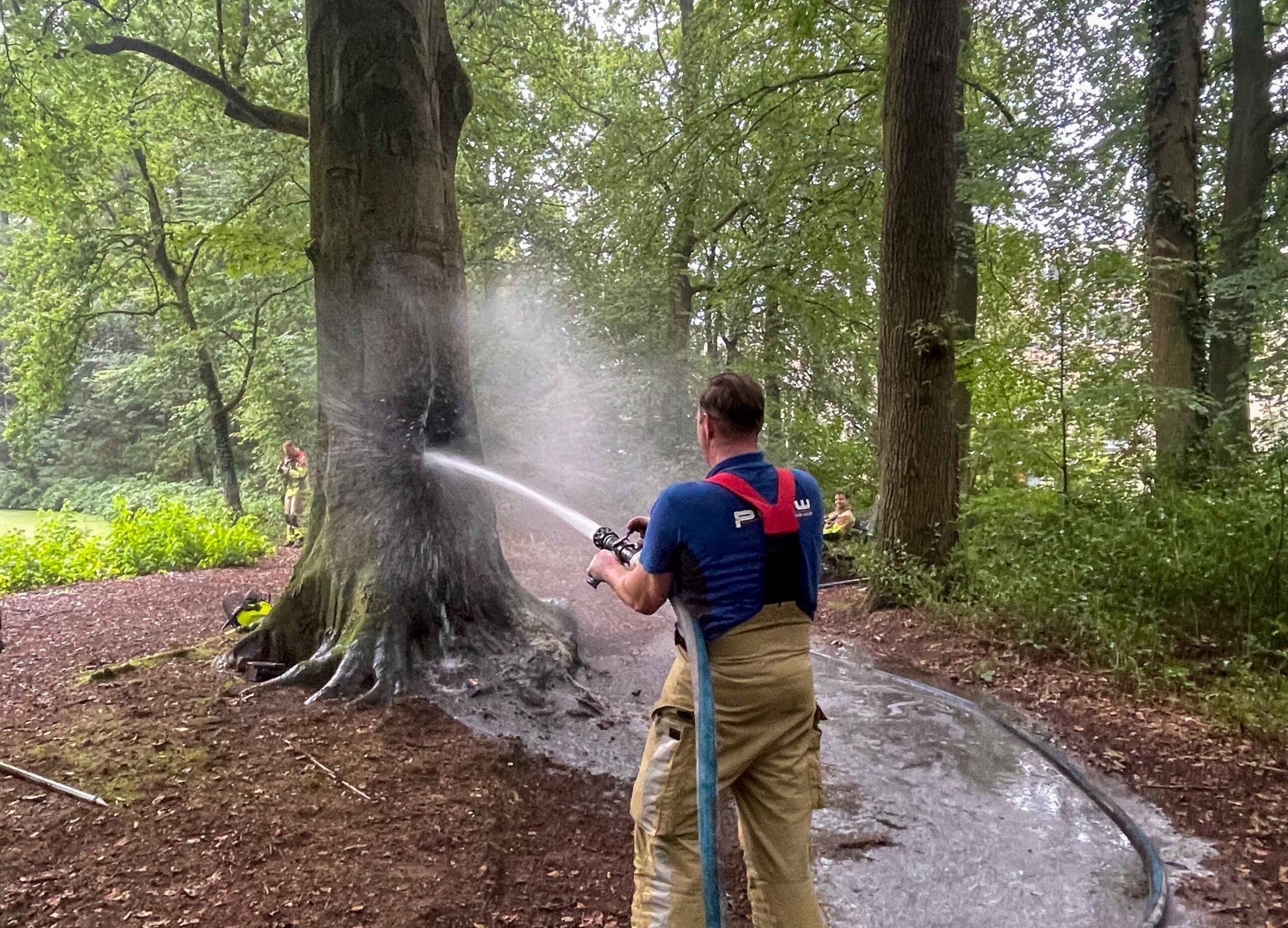 Boom in Park Colenso na half jaar opnieuw in brand 