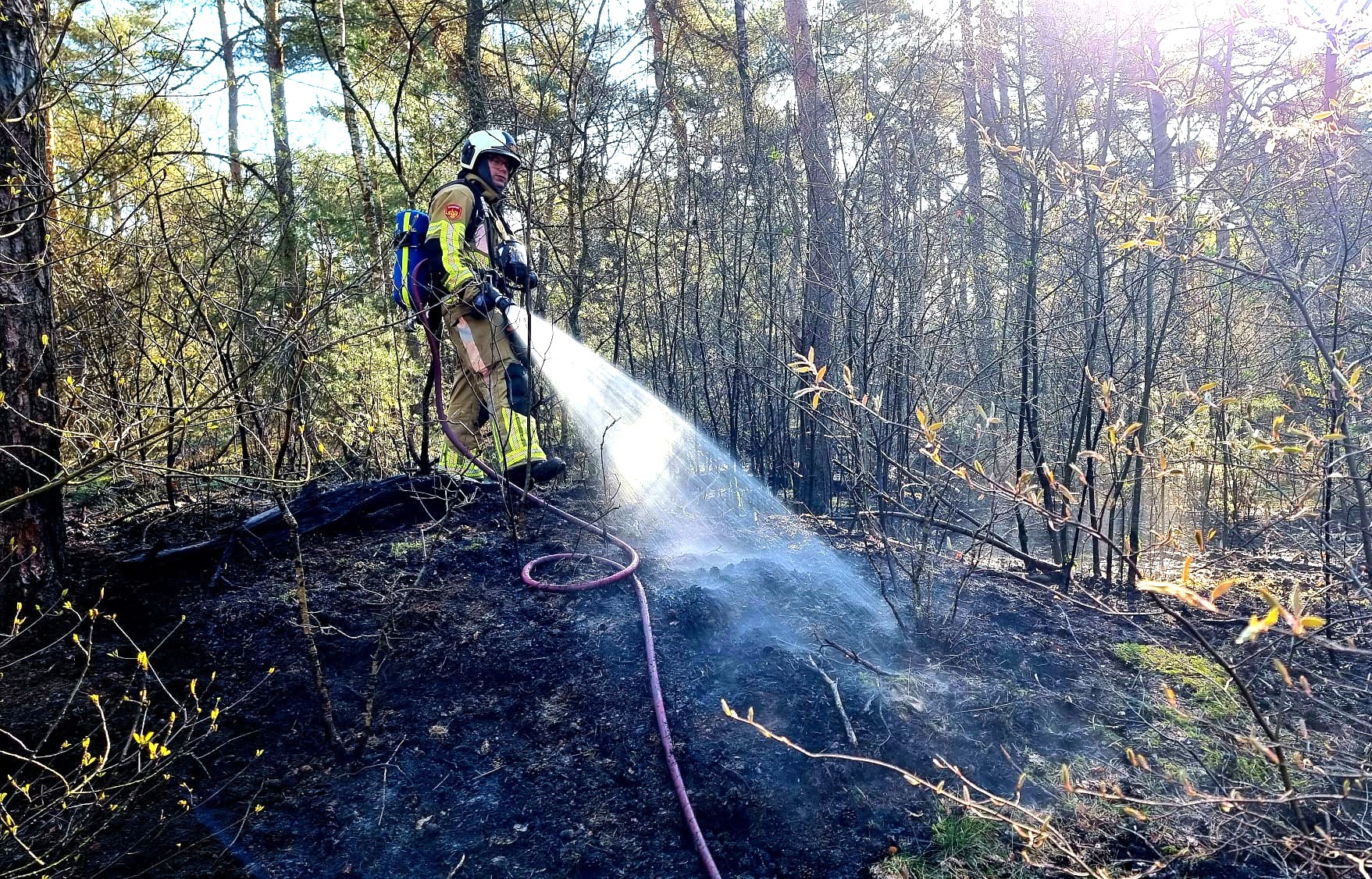Bosbrand Dolderseweg Soest snel geblust
