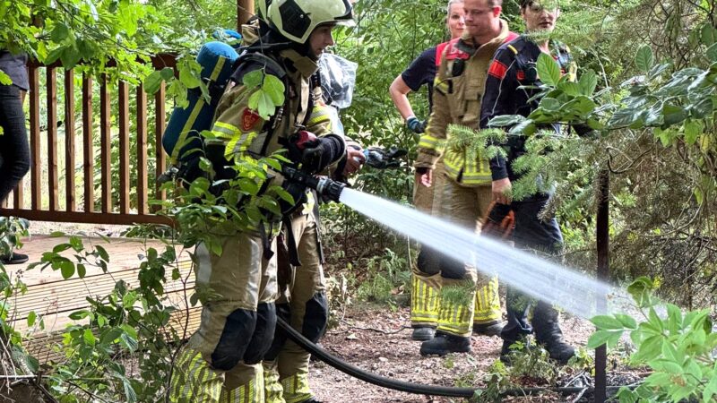Bosbrandje binnen de perken gehouden