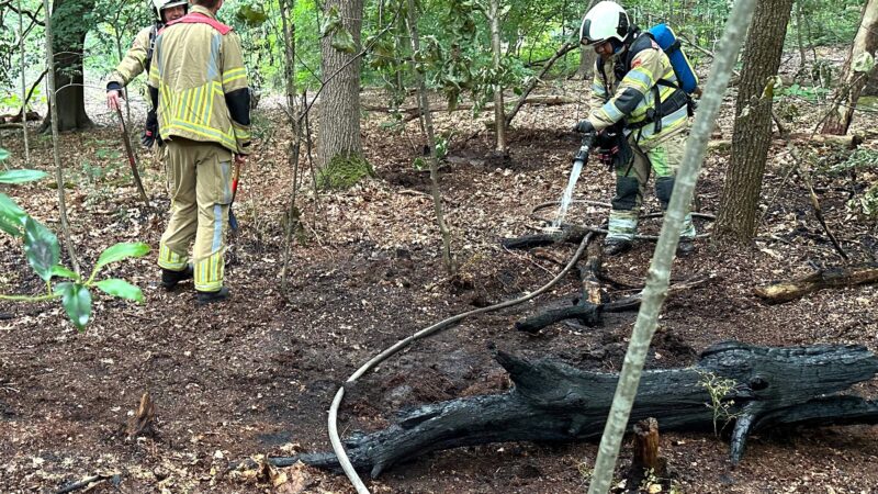 Wandelaars ontdekken bosbrandje