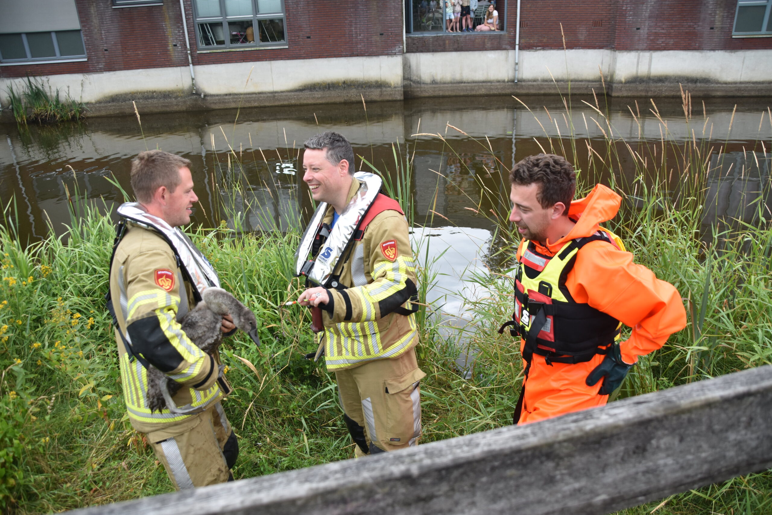 Brandweer schiet zwaan te hulp