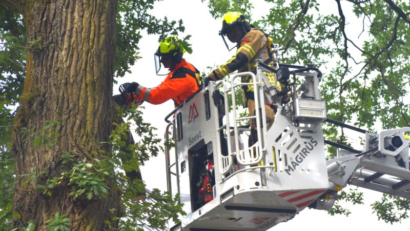 Brandweer voorkomt val van zware tak