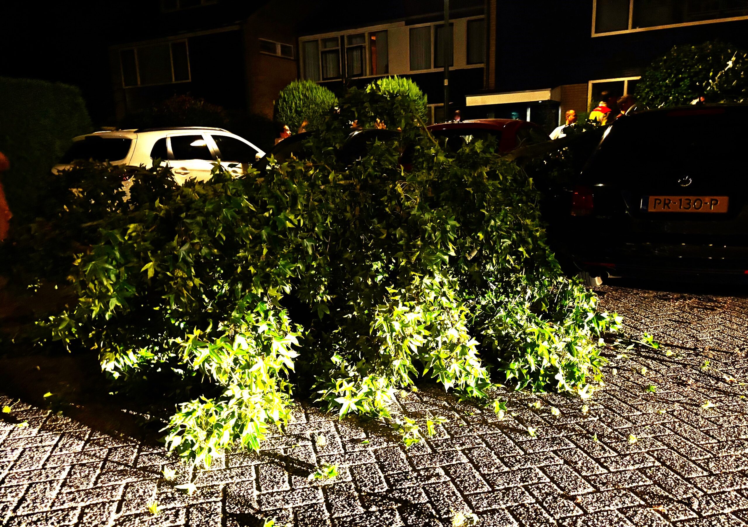 Vallende tak beschadigt auto’s
