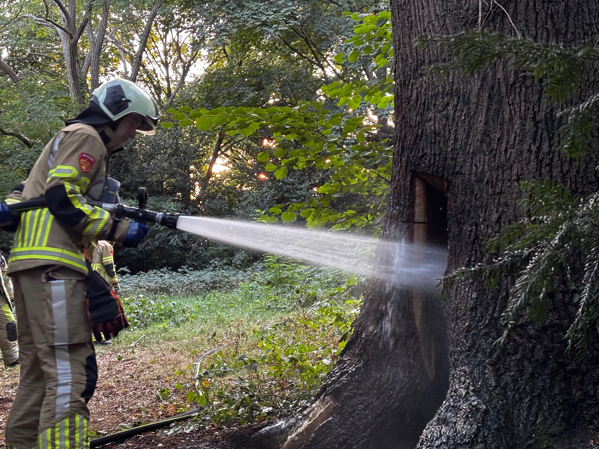 Twee keer brand in oude holle eik