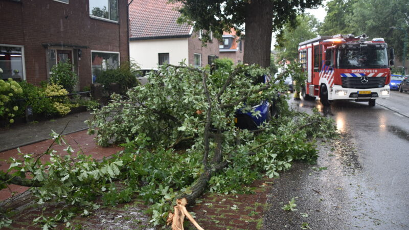 Auto zwaar beschadigd door vallende tak