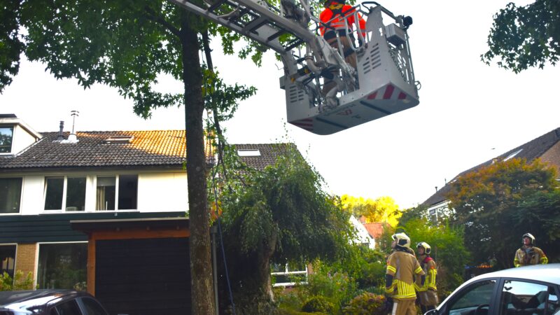 Brandweer trekt tak uit boom