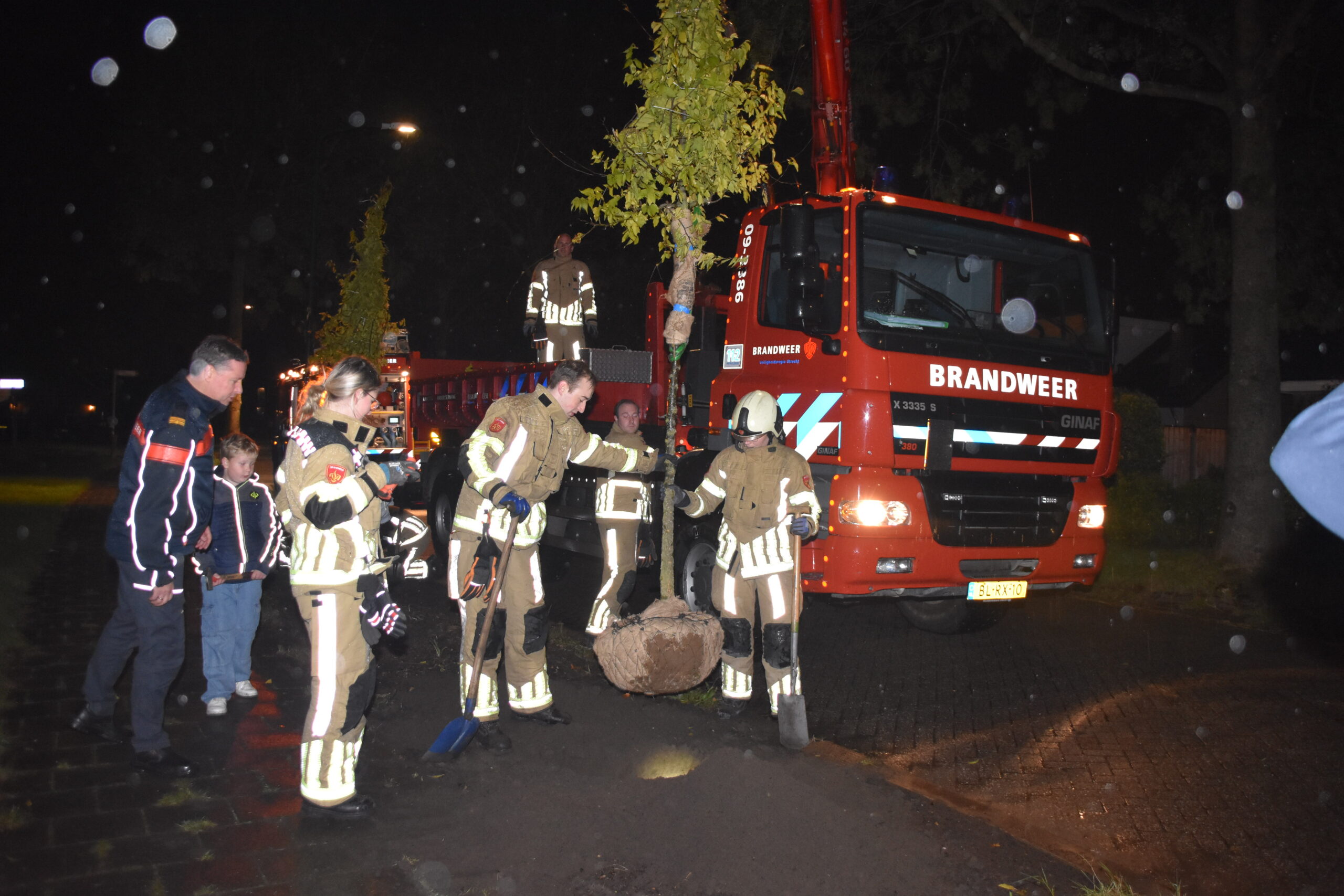 Brandweer plant drie zwepenbomen