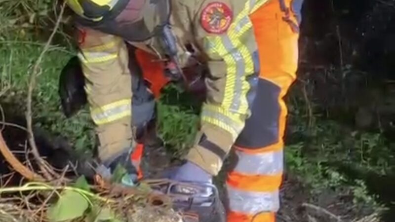 Omgewaaide boom blokkeert Heezerspoor