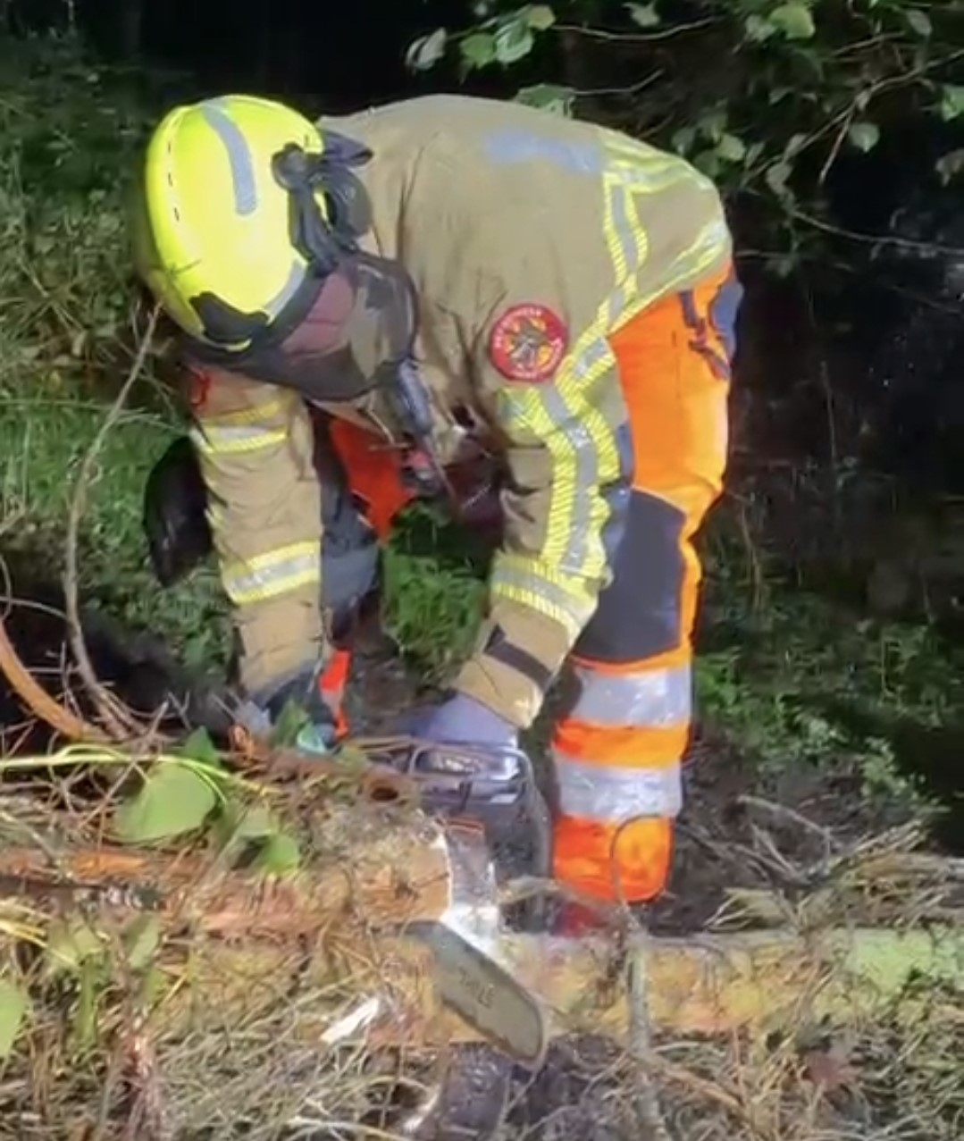 Omgewaaide boom blokkeert Heezerspoor